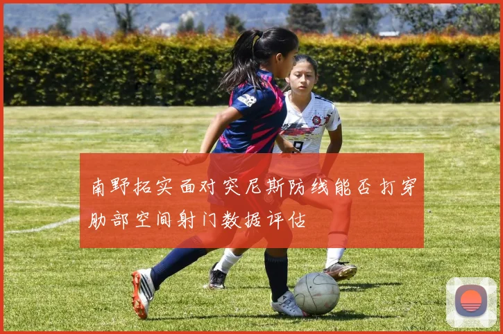 南野拓实面对突尼斯防线能否打穿肋部空间射门数据评估