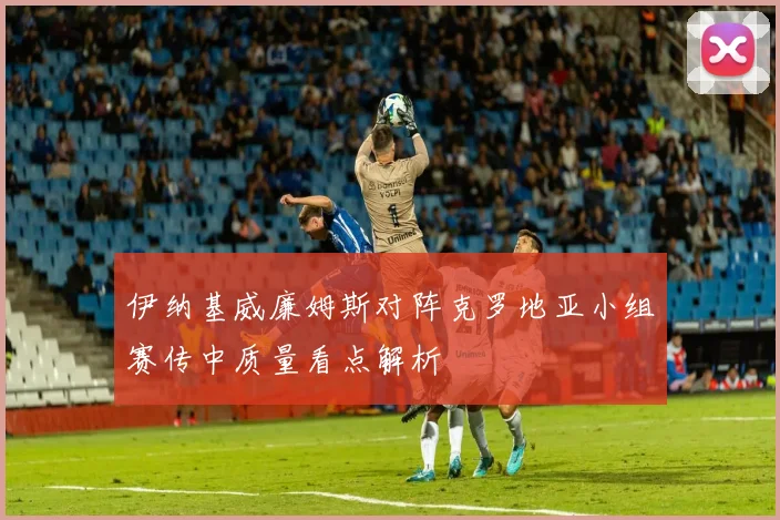 伊纳基威廉姆斯对阵克罗地亚小组赛传中质量看点解析