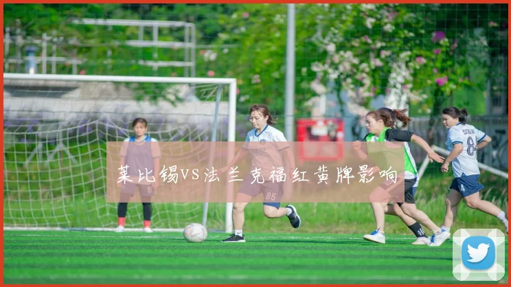 莱比锡vs法兰克福红黄牌影响