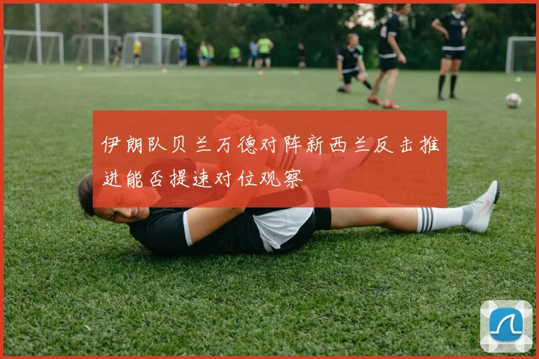 伊朗队贝兰万德对阵新西兰反击推进能否提速对位观察